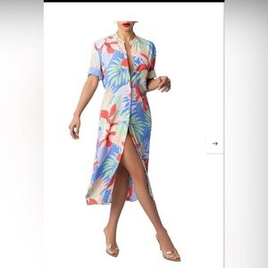 FKSP “Sarai” Blue Print Shirtdress